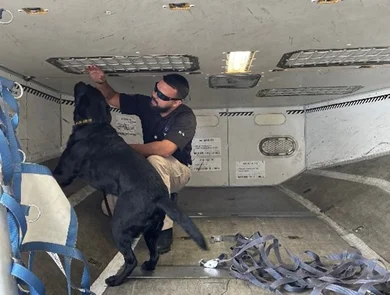 Man with canine in an airline