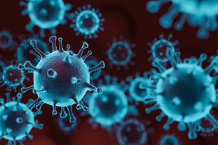 coronavirus