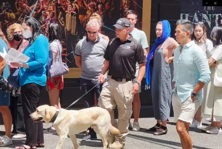 Firearms Detection Canine sweeping theater patron line